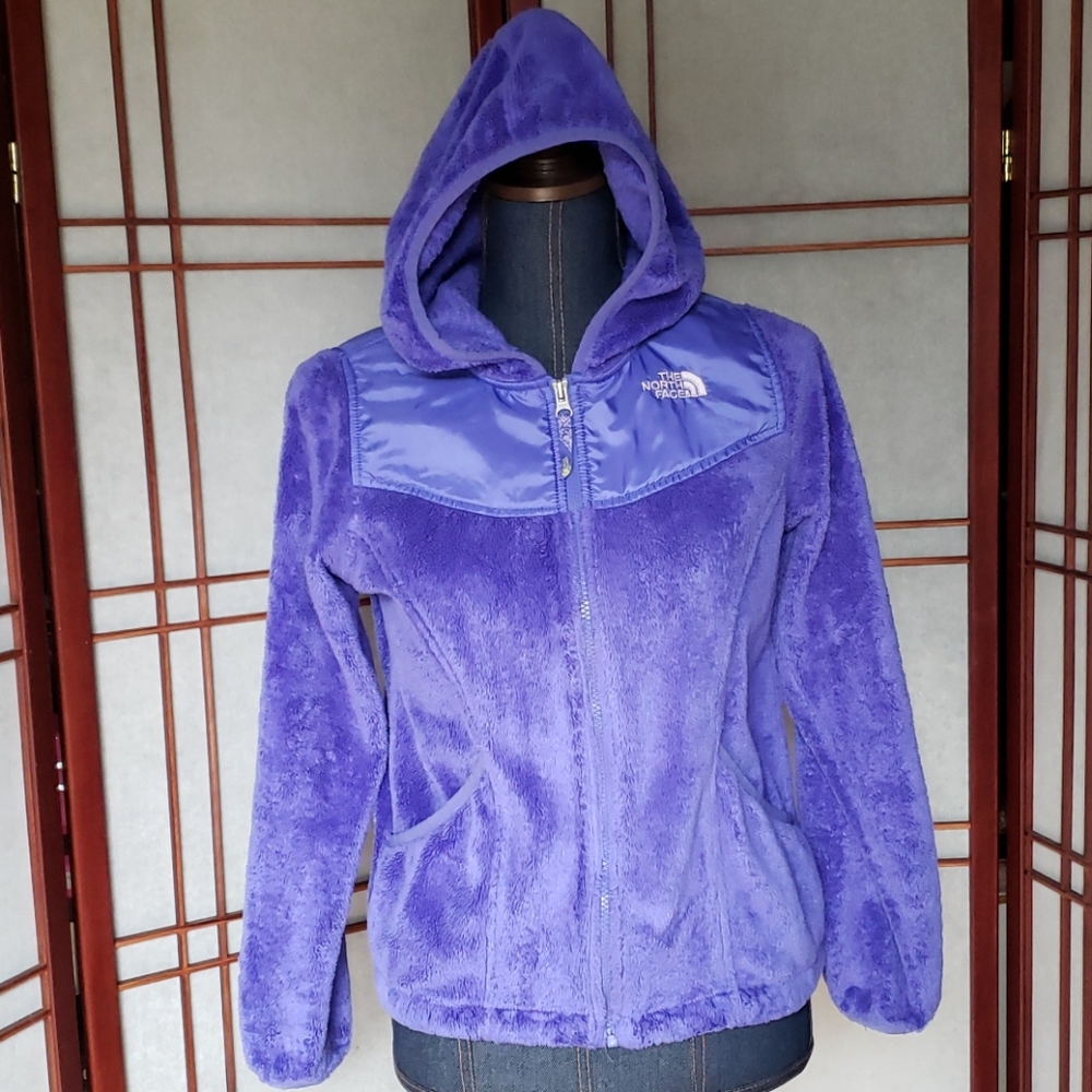 COPY - The North Face hoodie fleece jacket